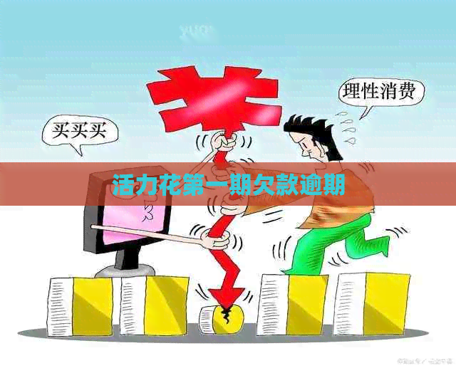 活力花之一期欠款逾期