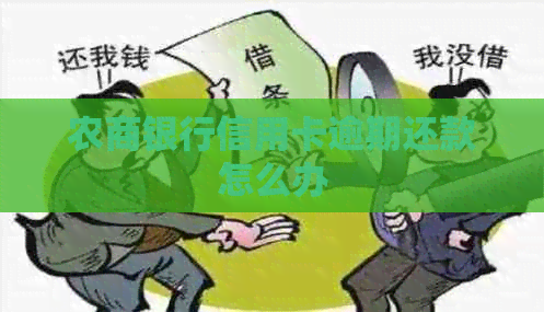 农商银行信用卡逾期还款怎么办