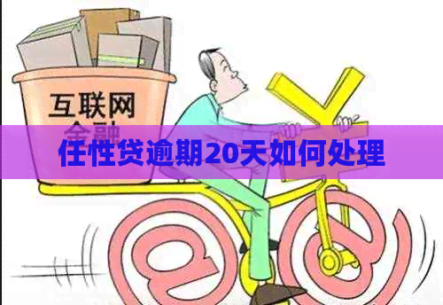 任性贷逾期20天如何处理