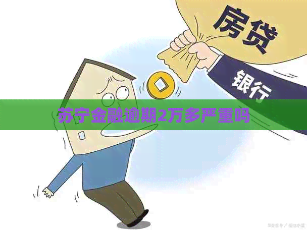 苏宁金融逾期2万多严重吗