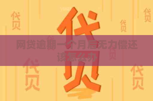 网贷逾期一个月后无力偿还该怎么办