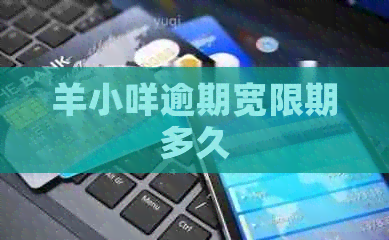 羊小咩逾期宽限期多久