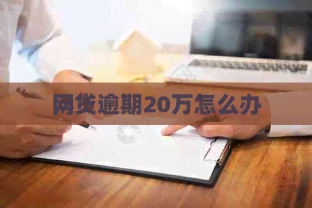网贷逾期20万怎么办
