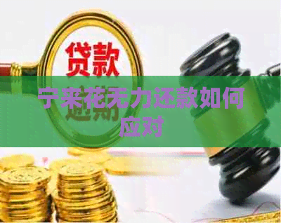 宁来花无力还款如何应对