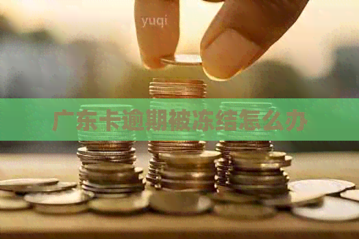广东卡逾期被冻结怎么办