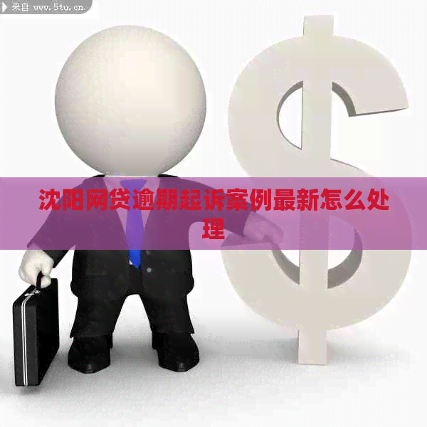 沈阳网贷逾期起诉案例最新怎么处理