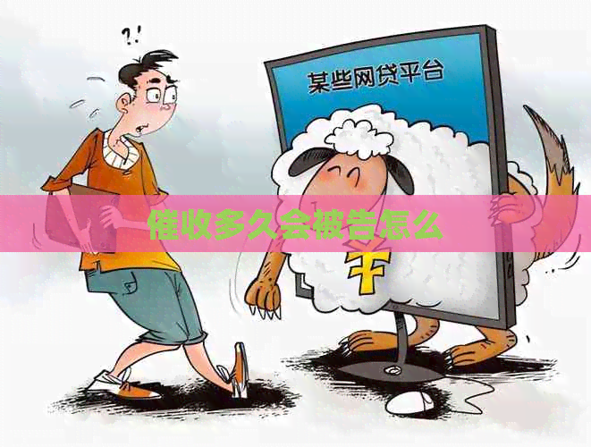 多久会被告怎么
