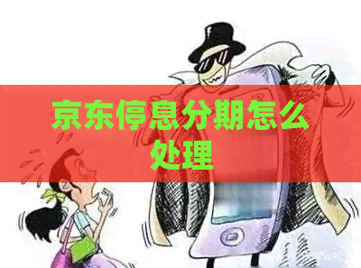 京东停息分期怎么处理