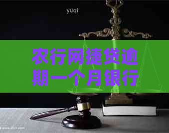 农行网捷贷逾期一个月银行说要起诉我怎么办