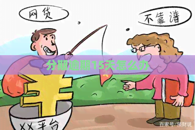 分期逾期15天怎么办