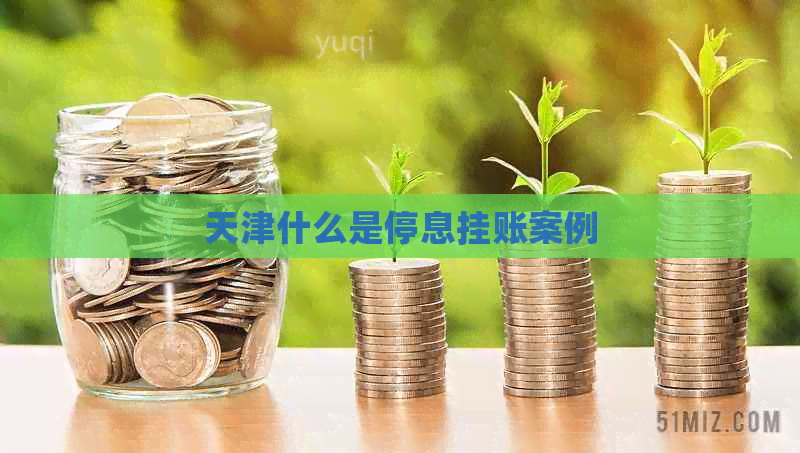 天津什么是停息挂账案例