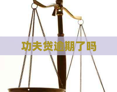 功夫贷逾期了吗