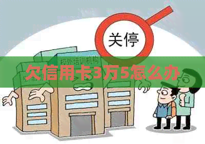 欠信用卡3万5怎么办