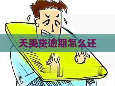 天美贷逾期怎么还