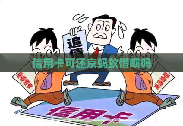 信用卡可还京蚂蚁网贷吗
