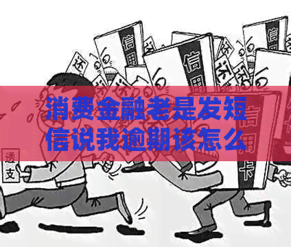 消费金融老是发短信说我逾期该怎么办