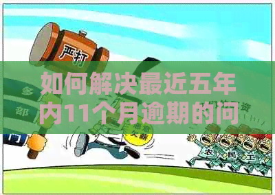 如何解决最近五年内11个月逾期的问题