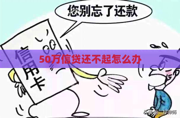 50万信贷还不起怎么办