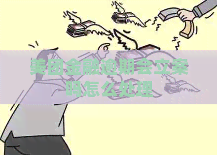 美团金融逾期会立案吗怎么处理