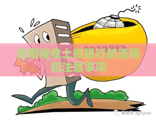 逾期上报银行的流程和注意事项