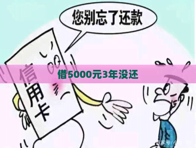 借5000元3年没还