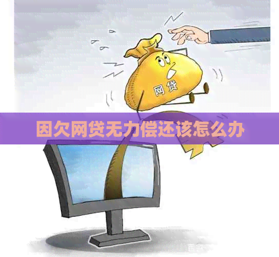 因欠网贷无力偿还该怎么办