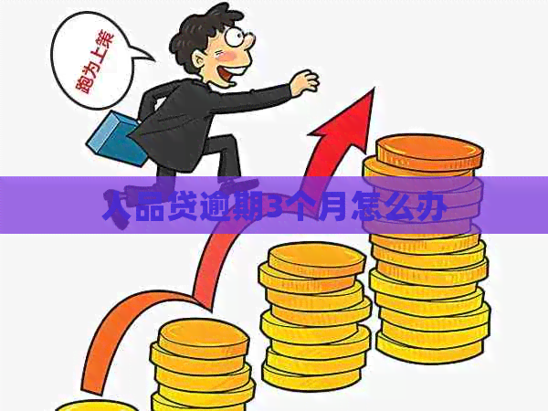 人品贷逾期3个月怎么办