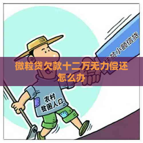 微粒贷欠款十二万无力偿还怎么办