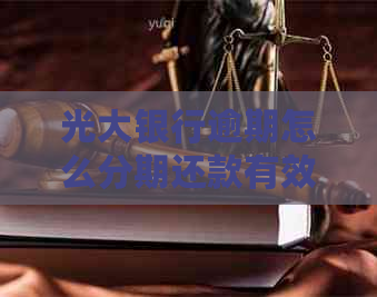 光大银行逾期怎么分期还款有效方法