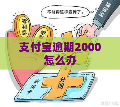 信用卡逾期2000怎么办