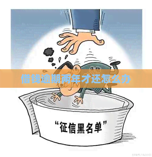 借钱逾期两年才还怎么办