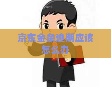 京东金条逾期应该怎么办