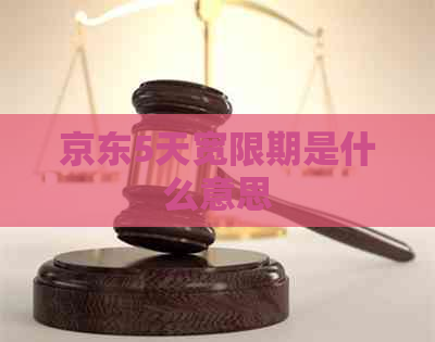 京东5天宽限期是什么意思