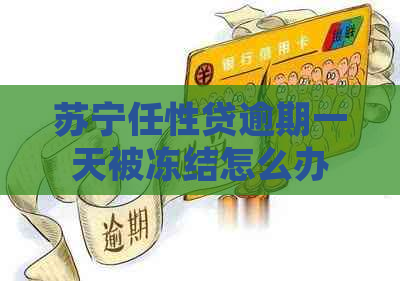 苏宁任性贷逾期一天被冻结怎么办