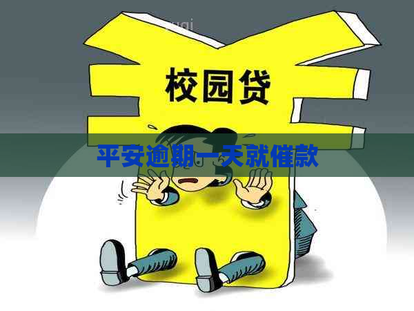 平安逾期一天就催款