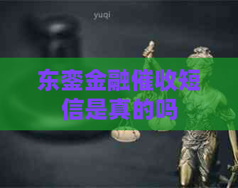 东銮金融短信是真的吗