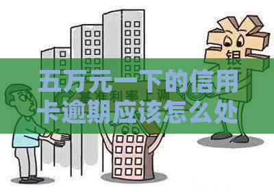 五万元一下的信用卡逾期应该怎么处理