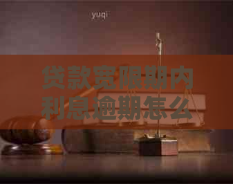 贷款宽限期内利息逾期怎么办