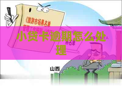小贷卡逾期怎么处理