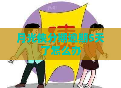 月光侠分期逾期5天了怎么办
