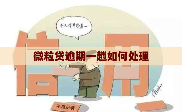 微粒贷逾期一趟如何处理