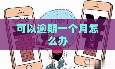 可以逾期一个月怎么办