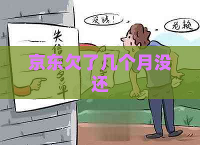 京东欠了几个月没还
