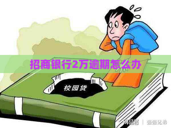 招商银行2万逾期怎么办