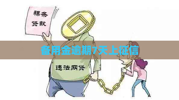 备用金逾期7天上