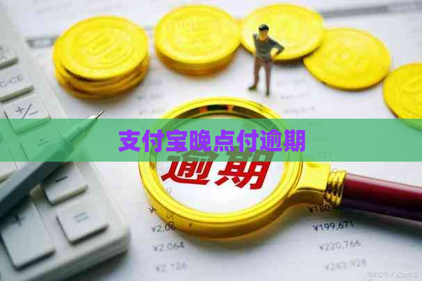 信用卡晚点付逾期