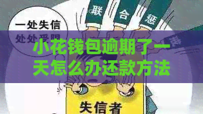 小花钱包逾期了一天怎么办还款方法详解