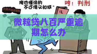 微粒贷八百严重逾期怎么办