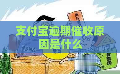 信用卡逾期原因是什么