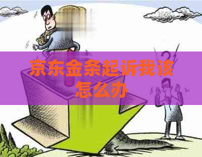 京东金条起诉我该怎么办